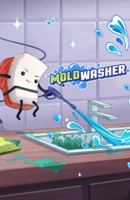 Moldwasher｜PC｜Steam｜ACCOUNT